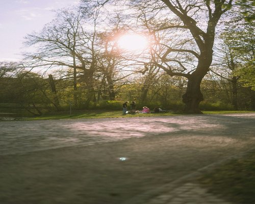 Group of diverse people jogging in a park morning light